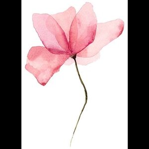 💕🌸💕🌸WELCOME!!! MAKE AN OFFER💕🌸💕🌸